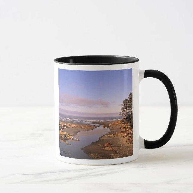 WA, Olympic NP, Kalaloch Beach und Kalaloch Tasse (Rechts)