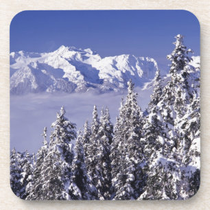WA, Olympic NP, Olympic-Bergkette, Ansicht Untersetzer