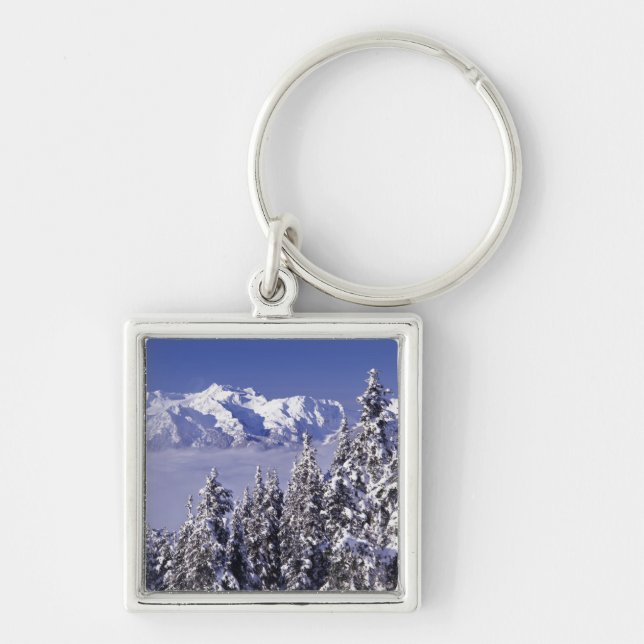 WA, Olympic NP, Olympic Mountain Range, Sicht Schlüsselanhänger (Vorne)