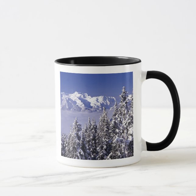 WA, Olympic NP, Olympic Mountain Range, Sicht Tasse (Rechts)