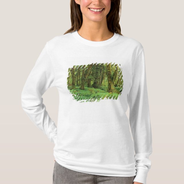 WA, Olympic NP, Quinault Rain Forest, Moos T-Shirt (Vorderseite)