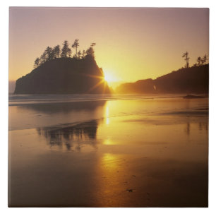 WA, Olympic NP, Second Beach bei Sonnenuntergang Fliese