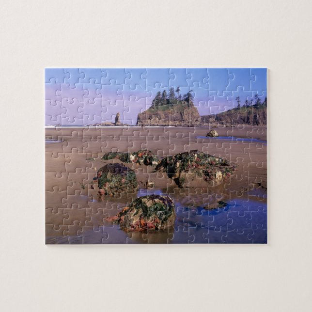 WA, Olympic NP, Second Beach mit Tidepools und Puzzle (Horizontal)
