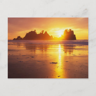 WA, Olympic NP, Shi Shi Strand bei Sonnenuntergang Postkarte