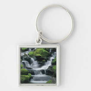 WA, Olympic NP, Sol Duc Valley, Bach mit Schlüsselanhänger