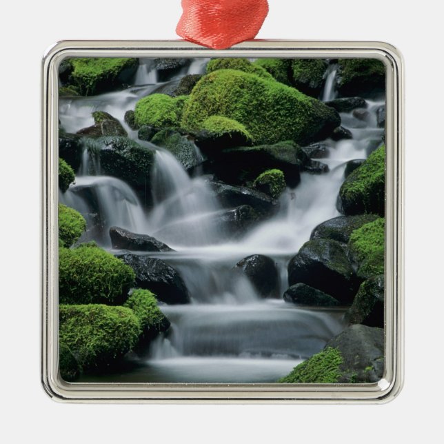 WA, Olympic NP, Sol Duc Valley, Bach mit Silbernes Ornament (Vorne)