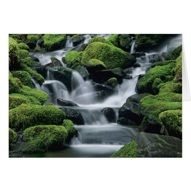WA, Olympic NP, Sol Duc Valley, Fluss mit (Vorderseite (Horizontal))