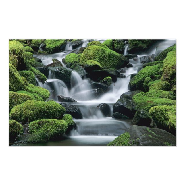 WA, Olympic NP, Sol Duc Valley, Fluss mit Fotodruck (Vorne)