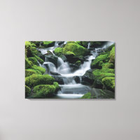 WA, Olympic NP, Sol Duc Valley, Fluss mit