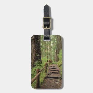 WA, Olympic NP, Sol Duc Valley, Regenwald Gepäckanhänger