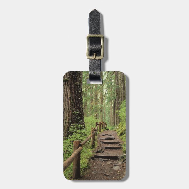 WA, Olympic NP, Sol Duc Valley, Regenwald Gepäckanhänger (Vorderseite vertikal)