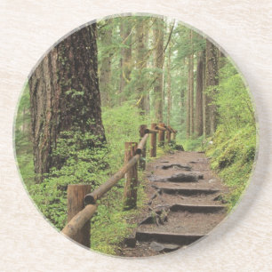 WA, Olympic NP, Sol Duc Valley, Regenwald Sandstein Untersetzer