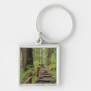 WA, Olympic NP, Sol Duc Valley, Regenwald Schlüsselanhänger
