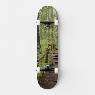 WA, Olympic NP, Sol Duc Valley, Regenwald Skateboard