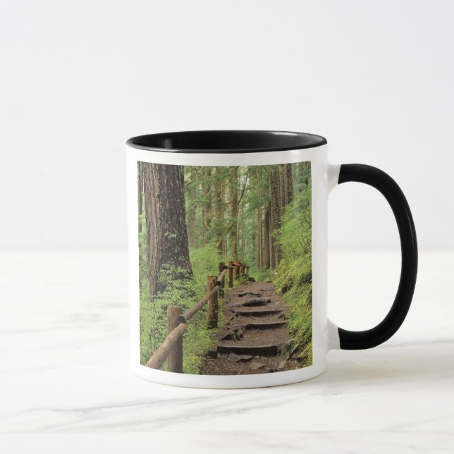 WA, Olympic NP, Sol Duc Valley, Regenwald Tasse (Rechts)