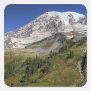 WA, Rainier National Park, Aussicht vom Quadratischer Aufkleber