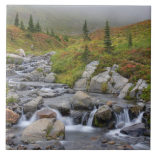 WA, Rainier National Park, Edith Creek Fliese