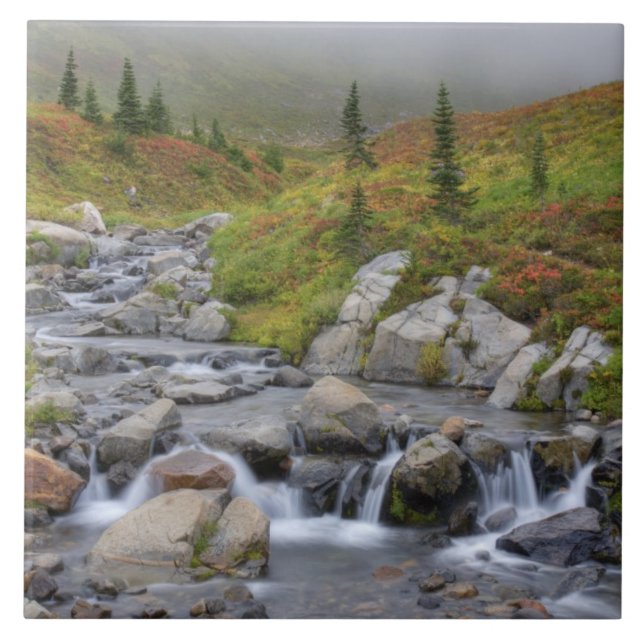 WA, Rainier National Park, Edith Creek Fliese (Vorderseite)