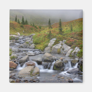 WA, Rainier National Park, Edith Creek Magnet