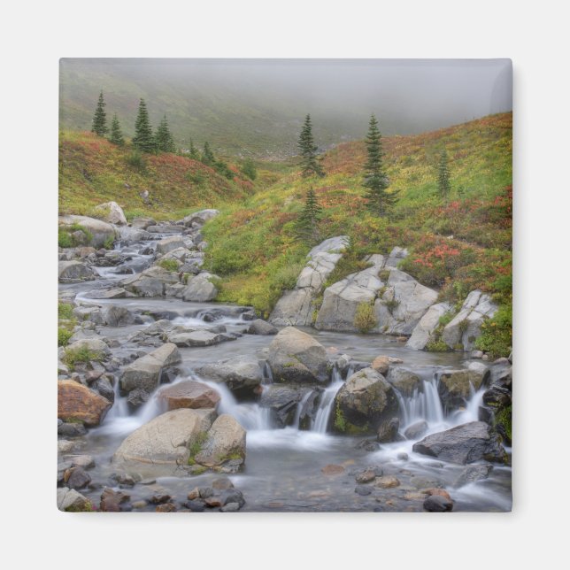 WA, Rainier National Park, Edith Creek Magnet (Vorne)