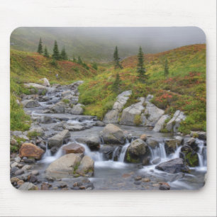 WA, Rainier National Park, Edith Creek Mousepad