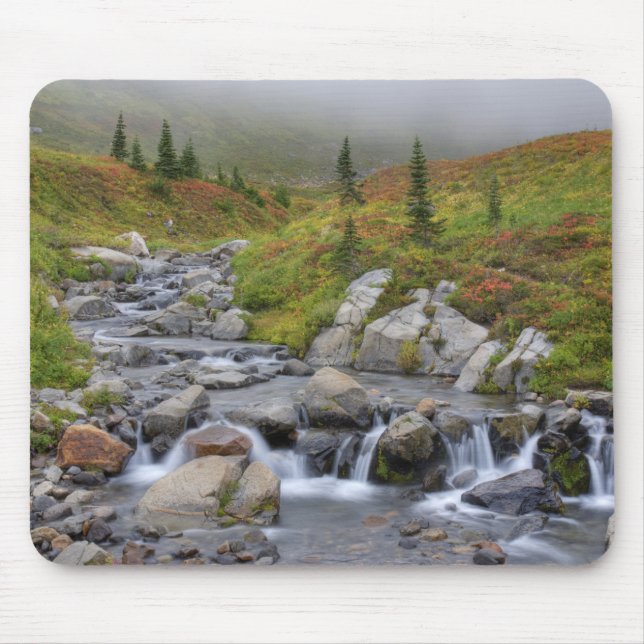 WA, Rainier National Park, Edith Creek Mousepad (Vorne)