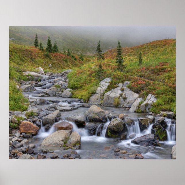 WA, Rainier National Park, Edith Creek Poster (Vorne)