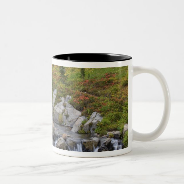WA, Rainier National Park, Edith Creek Zweifarbige Tasse (Rechts)