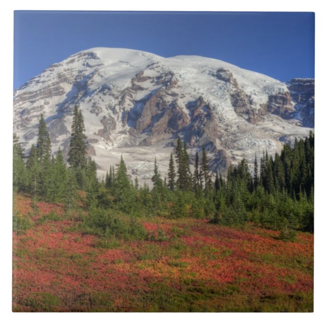 WA, Rainier National Park, Paradise Valley Fliese (Vorderseite)
