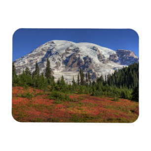 WA, Rainier National Park, Paradise Valley Magnet