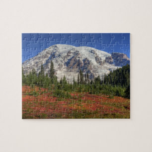 WA, Rainier National Park, Paradise Valley Puzzle