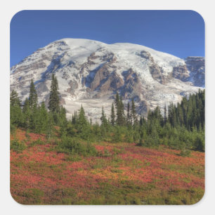 WA, Rainier National Park, Paradise Valley Quadratischer Aufkleber
