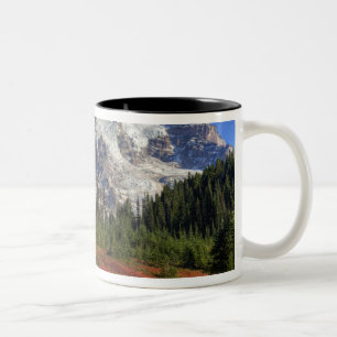WA, Rainier National Park, Paradise Valley Zweifarbige Tasse