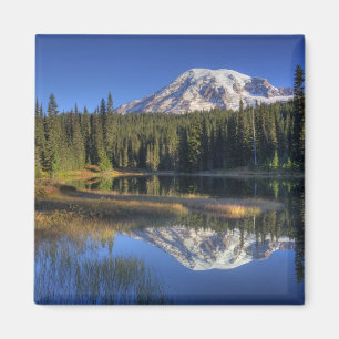 WA, Rainier National Park, Rainier Magnet