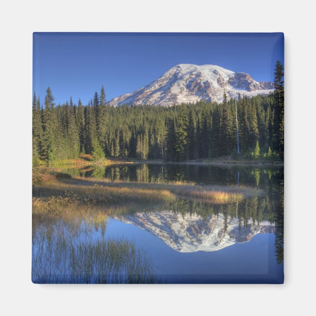 WA, Rainier National Park, Rainier Magnet (Vorne)
