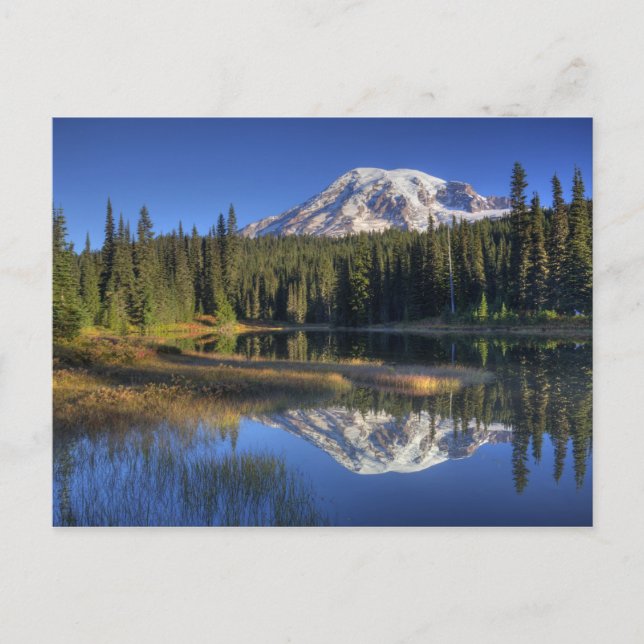 WA, Rainier National Park, Rainier Postkarte (Vorderseite)