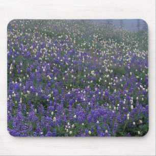 WA, Rainier NP, Lupine und Bistort-Wiese Mousepad