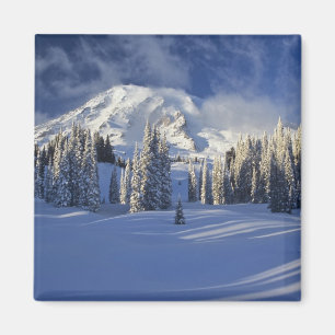 WA, Rainier NP, Rainier und Paradise Magnet