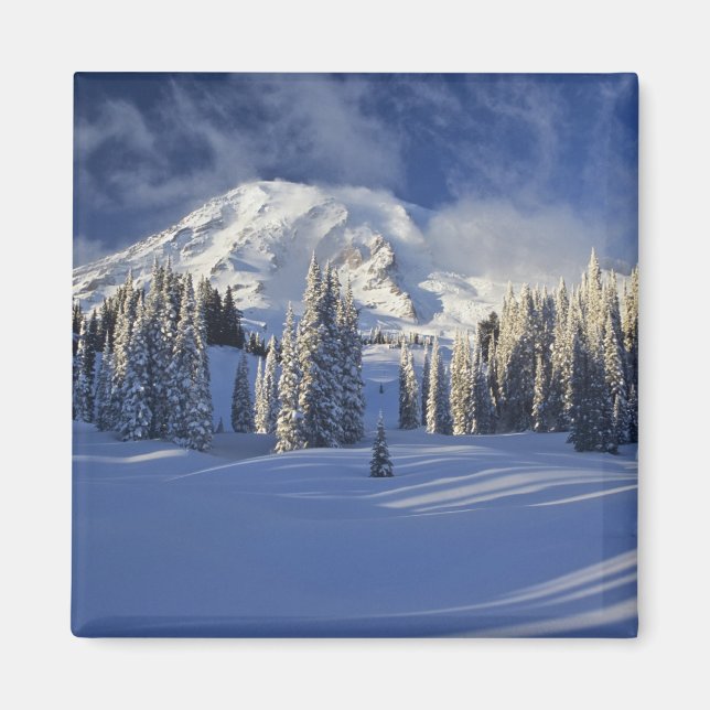 WA, Rainier NP, Rainier und Paradise Magnet (Vorne)