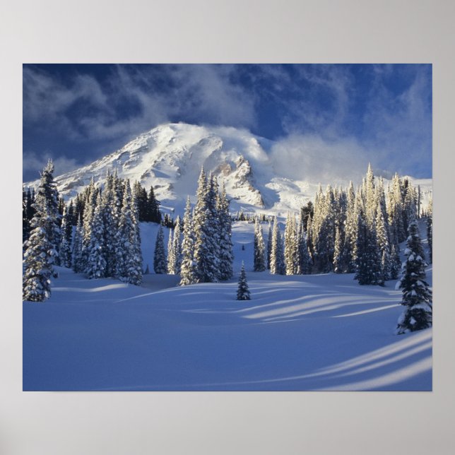 WA, Rainier NP, Rainier und Paradise Poster (Vorne)