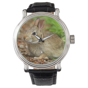 WA, Redmond, Eastern Cottontail Baby-Kaninchen Armbanduhr