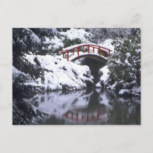 WA, Seattle, Mondbrücke und Teich nach dem Winter  Postkarte