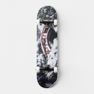 WA, Seattle, Mondbrücke und Teich nach dem Winter Skateboard