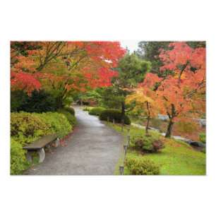 WA, Seattle, Washington Park Arboretum, 2 Fotodruck