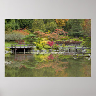 WA, Seattle, Washington Park Arboretum, 3 Poster
