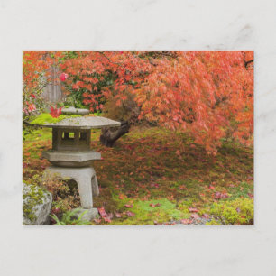 WA, Seattle, Washington Park Arboretum, Japanisch  Postkarte