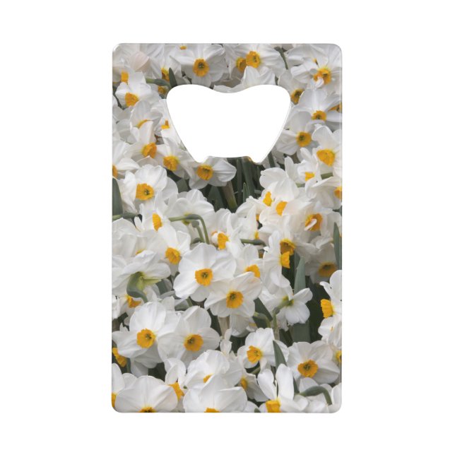 WA, Skagit Valley, Daffodil-Muster Geldkarten Flaschenöffner (Vorderseite)
