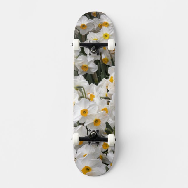 WA, Skagit Valley, Daffodil-Muster Skateboard (Vorderseite)