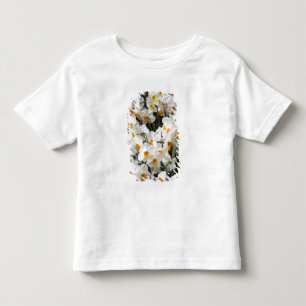 WA, Skagit Valley, Narzissenmuster Kleinkind T-shirt