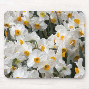 WA, Skagit Valley, Narzissenmuster Mousepad